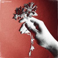Reiven - Nova