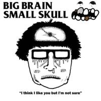 Big Brain, Small Skull - I Think I Like You But I'm Not Sure