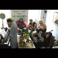 The Walkmen - Pussy Cats