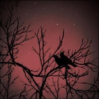 Ashes At Last - You Can't Stop The Sunset