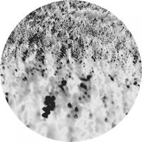 Reggy van Oers - Noctilucent