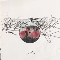 Kassie Krut - Kassie Krut