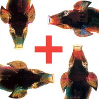 Prozac+ - Testa Plastica