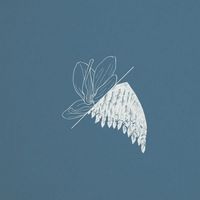 Tim Linghaus - Memory Sketches