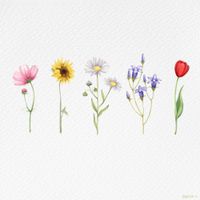 yung kai - ​wildflower