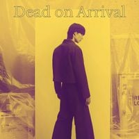 INTERNATIONAL MATADOR - DEAD ON ARRIVAL