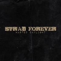 Stray Forever - Wasted Daylight