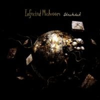 Infected Mushroom - Stretched
