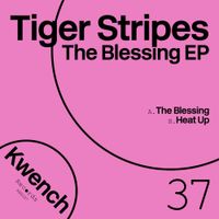 Tiger Stripes - The Blessing EP