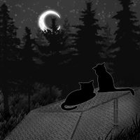 Do You Believe In Ghosts? - Two Black Cats