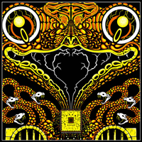 King Gizzard & The Lizard Wizard - Live in San Diego '24