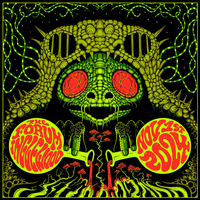 King Gizzard & The Lizard Wizard - Live in Los Angeles '24