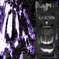 Nvctve - Viscera