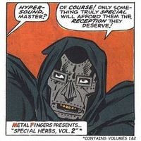 Metal Fingers - Special Herbs, Vols. 1 & 2