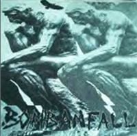 Bombanfall - &Aring;siktsfrihet