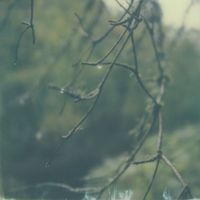 Beno&icirc;t Pioulard - Lignin Poise