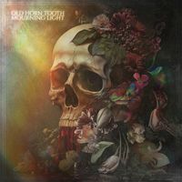 Old Horn Tooth - Mourning Light