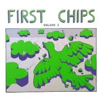 First Chips - First Chips Volume I (A Collection Of Early Recordings From Clay Pigeon Productions)
