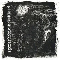Agoraphobic Nosebleed - Directions in Music
