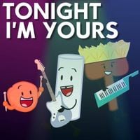 The Broomer Boys - Tonight I'm Yours