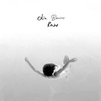 Dia Frampton - Bruises Raw
