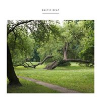 Bartosz Kruczyński - Baltic Beat