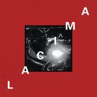 Viva Belgrado - Ep&iacute;logo: La Cima