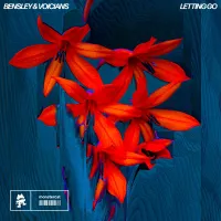Bensley - Letting Go