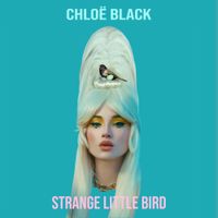 Chl&oslash;&euml; Black - Strange Little Bird