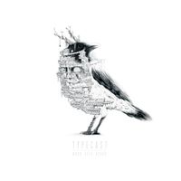Typecast - Word Sit Heavy