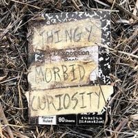 Thingy - Morbid Curiosity