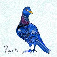 Pigeoto - Pigeoto