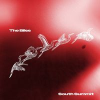 South Summit - The Bliss