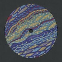 Shed - Applications