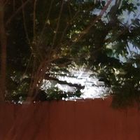 ¿CJay? - loops and demos to say goodbye to