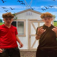 14kbird - BirdCabin