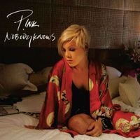 P!nk - Nobody Knows