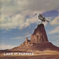 Lake Of Puppies - Lake of Puppies