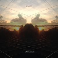 Synkro - Acceptance