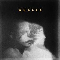 Whales - Whales