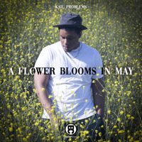 Kail Problems - A Flower Blooms In May