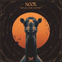 Noor - Can You Ride A Camel?