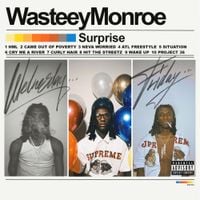 Wasteey Monroe - Surprise