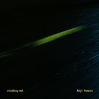 niceboy ed - high hopes