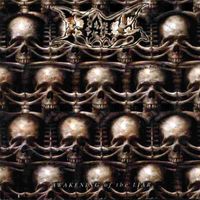 Hate - Awakening of the liar