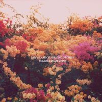I Am A Lake Of Burning Orchids - Summer in My Veins