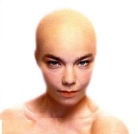 Bj&ouml;rk - Hunter [CD2]
