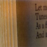 AMM - Tunes Without Measure or End