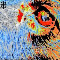 Rihivi - endless feeling of confusion