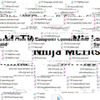 Ninja McTits - 200 Files From My Computer Converted Into Sound